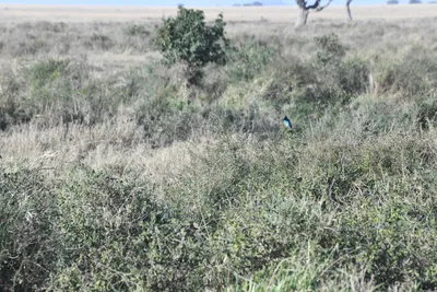 DSC_3809 (Large).JPG